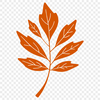 A detailed illustration of a single leaf with various layers and details.