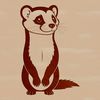 A small, furry ferret with a long snout and pointed ears.