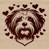 Love-Struck Havanese Breed Portrait A detailed illustration of a Havanese dog with love hearts on its head.