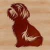 A small dog breed, the Havanese, depicted in a sitting position.
