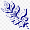 Detailed Leaf Vector Graphic A high-quality illustration of a single leaf with detailed veins and edges, suitable for vector graphics and digital design.