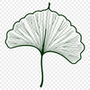 Green Leaf Icon in Vector Format Illustrative vector graphic of a single green leaf with rounded edges.