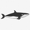 A simple line drawing of a whale in vector format.