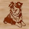 Laying Shepherd Portrait A portrait illustration of a laying Australian Shepherd dog with a calm expression.