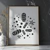 Microbial Micrograph An illustration of a single bacterial cell, detailed in vector format.