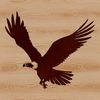 A soaring eagle in flight, depicted as a vector graphic illustration.