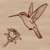 Free Vector Hummingbird Design Download A colorful illustration of a hummingbird perched on a floral branch, suitable for vector art and design projects.