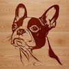 Vector Dog Portrait Illustration A detailed vector illustration of a Boston Terrier's head with expressive features.