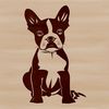 Adorable Boston Terrier Breed Dog Silhouette Illustrated depiction of a Boston Terrier breed dog sitting on its haunches.