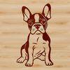 Friendly Sitting Dog Breed Icon A seated Boston Terrier breed dog in vector format.