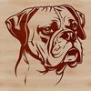 Beautiful Boxer Breed Silhouette A detailed SVG image of a boxer animal's profile, suitable for editing and customization.