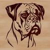 Cute Boxer Pet Illustration Download A high-quality vector image of a boxer animal, ideal for clip art use in various digital applications.