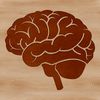 Human Brain Vector Graphic Anatomy illustration of the human brain, suitable for vector graphics and clip art applications.