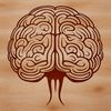 Illustration of the human brain's anatomy.