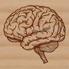 High-resolution SVG diagram of the brain's internal structures, suitable for educational and professional use.