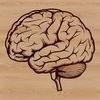 Human Anatomy Vector Art A detailed illustration of the human brain's anatomy, ideal for educational purposes or as a design element.
