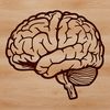 Vector Brain Clipart Design A detailed illustration of the human brain's internal structure, highlighting its various components.