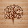 3D cutaway model of the brain anatomy rendered as a digital design asset.