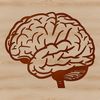 Human Body SVG Clip Art Design High-resolution 2D illustration of the human brain's anatomy.