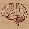 SVG Anatomical Brain Art High-resolution digital illustration of the human brain, anatomical diagram with detailed layers and structure.