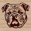 Beautiful Bulldog Face SVG Clip Art An SVG vector graphic image of a Bulldog's face, ideal for cutting machine projects or digital designs.