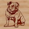 Friendly Bulldog Breed Dog Illustration A seated Bulldog breed dog with wrinkled skin and flat face.