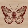 Whimsical Butterfly SVG Pattern A detailed illustration of a colorful butterfly with intricate wings, suitable for vector design and graphic projects.
