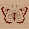 Beautiful Winged Insect SVG Design A colorful, detailed illustration of a butterfly with intricate wings.