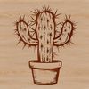 A single-stemmed desert plant with sharp spines, often used in gardening and nature designs.