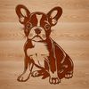Adorable Boston Breed Dog Graphic An SVG graphic of a cute Boston Terrier sitting in a relaxed pose.