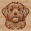Cuteness overload - Havanese dog illustration A small-sized breed dog with long hair and floppy ears, suitable for vector designs.