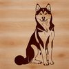 Free Sitting Husky Clip Art Design A sitting Siberian Husky dog breed illustration.