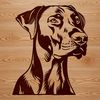 Vector Portrait Doberman Pinscher A portrait illustration of a Doberman Pinscher's head, created as a vector art design.