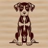 A medium-sized dog breed with distinctive markings, sitting on its haunches.