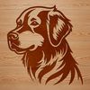 Free Golden Retriever Clipart A vector illustration of a Golden Retriever's head, suitable for digital designs and commercial use.