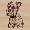 A detailed illustration of a small dog breed with a distinctive beard and eyebrows, suitable for vector art designs.