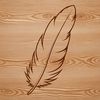A single feather depicted in a clean vector format.
