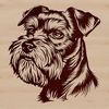 Miniature Dog Head Illustration A detailed illustration of a miniature schnauzer's head, suitable as clip art for various designs and projects.