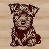 Furry Portrait of a Miniature Schnauzer A portrait of a seated miniature schnauzer with distinctive facial features.