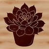 An outline drawing of a succulent plant with geometric shapes.
