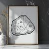 Rock Illustration Vector Graphics A high-quality digital illustration of a rock in vector format.