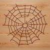 A stylized illustration of a spider web made from vector lines.