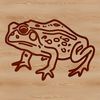 Vector illustration of a wild toad in a natural setting