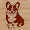 Adorable Short-Statured Furry Friend A sitting dog breed with a short stature and long body, often kept as a pet.