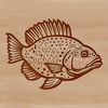 A detailed illustration of a Crappie fish with its distinctive features.