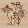 A close-up illustration of a single wild flower with delicate petals and stem.