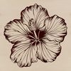A close-up illustration of a single hibiscus flower with large, showy petals.