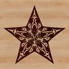 A stylized, geometric star symbol with clean lines and sharp points.