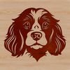 Free Cocker Spaniel Vector Graphic Design A detailed illustration of a Cocker Spaniel's head, suitable for vector art design.