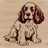 Sitting Cocker Dog Breed Graphic Vector illustration of a sitting cocker spaniel dog breed.